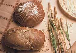 chleba a obilí