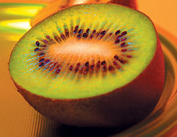 kiwi