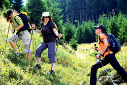 nordic walking