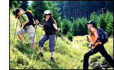 nordic walking