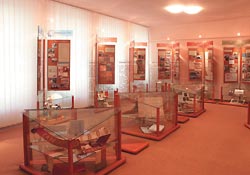 expozice Muzea drustevnictv