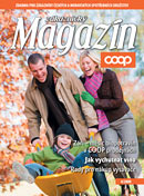 Zkaznick magazn potraviny 4/2008