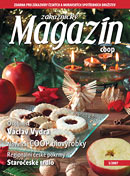 Zkaznick magazn potraviny 5/2007